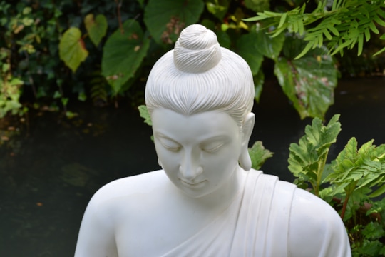 Zen-Sesshin - Den Weg bereiten